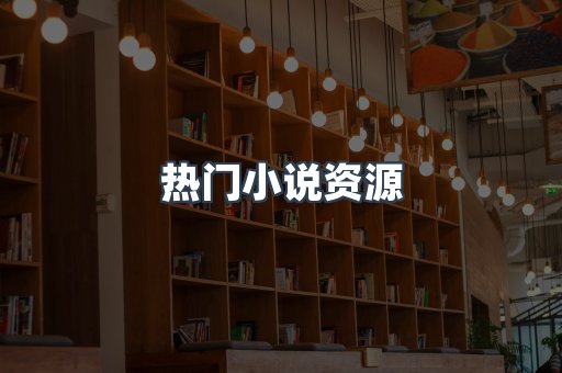 热门小说资源